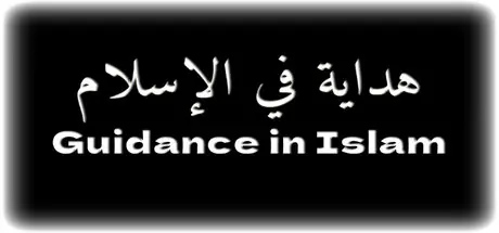 Guidance in Islam cover art
